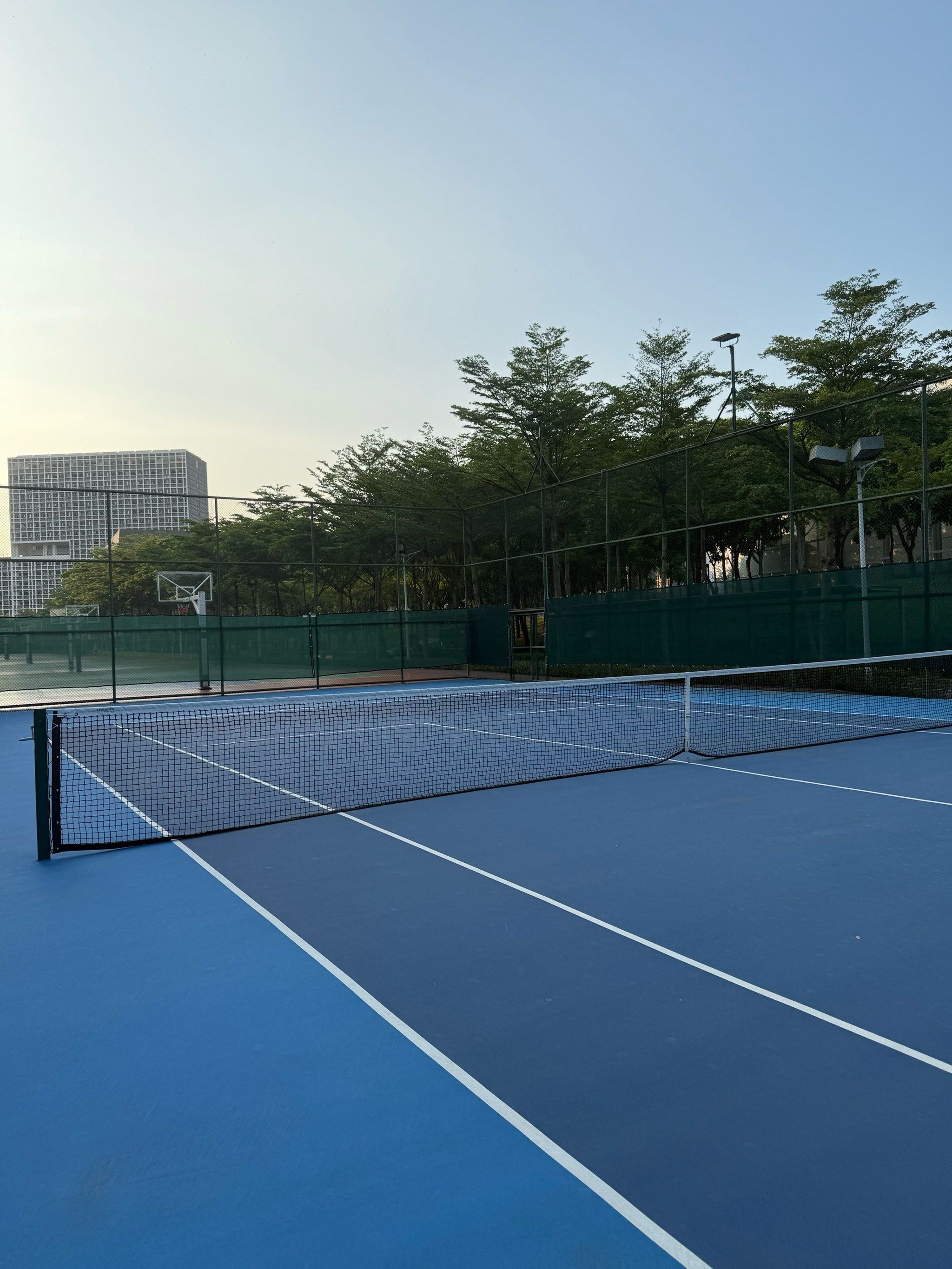 波鸿与不来 波鸿与不来