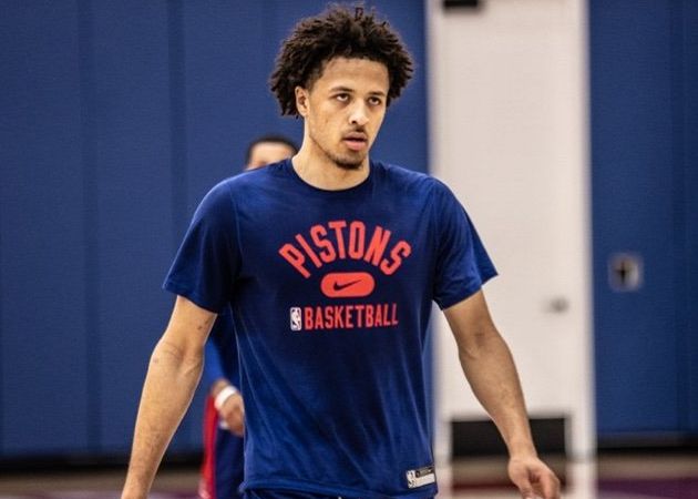 数据的分析 数据的分析